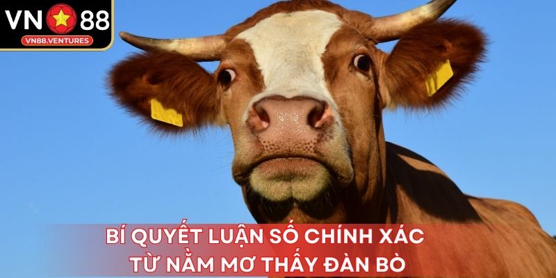 Bí quyết luận số chính xác từ nằm mơ thấy đàn bò