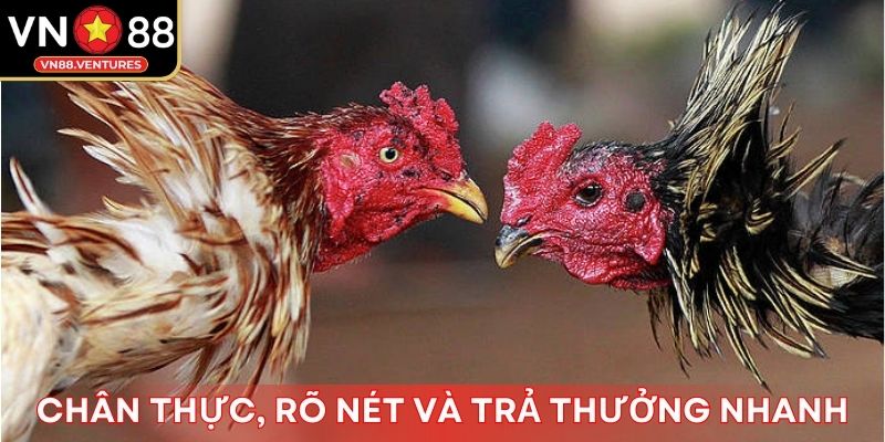 Cá cược chân thực, rõ nét và tốc độ trả thưởng nhanh