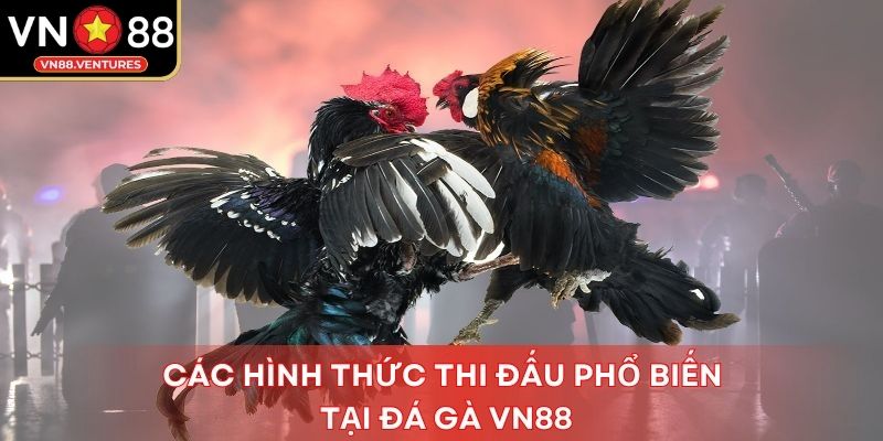 Các hình thức thi đấu phổ biến tại sảnh game Các hình thức thi đấu phổ biến tại sảnh game