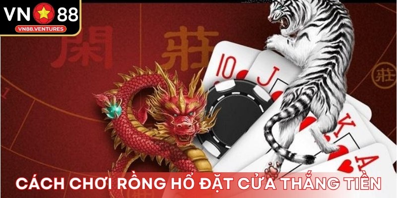 Cách chơi Rồng Hổ đặt cửa thắng tiền Cách chơi Rồng Hổ đặt cửa thắng tiền