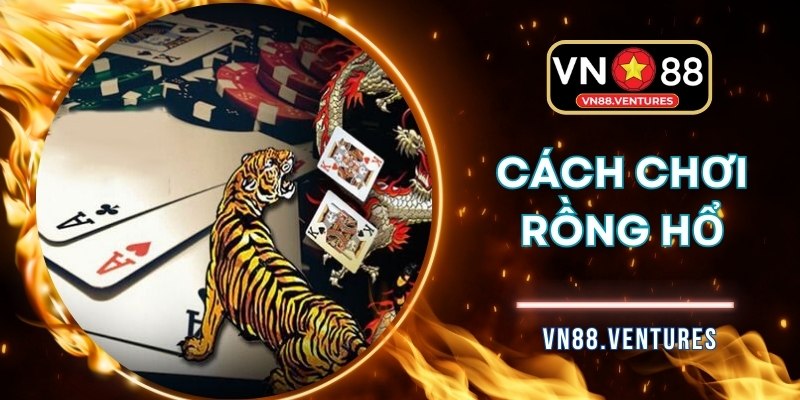 Cách Chơi Rồng Hổ  – Lính Mới Tới Cao Thủ Trong Vài Nốt Nhạc