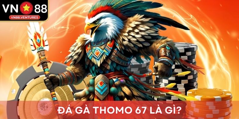 Đá gà Thomo 67 là gì? Đá gà Thomo 67 là gì?
