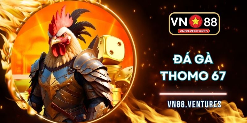 Đá Gà Thomo 67| Sân Chơi Cược Kê Ăn Khách, Kèo Thơm 2025