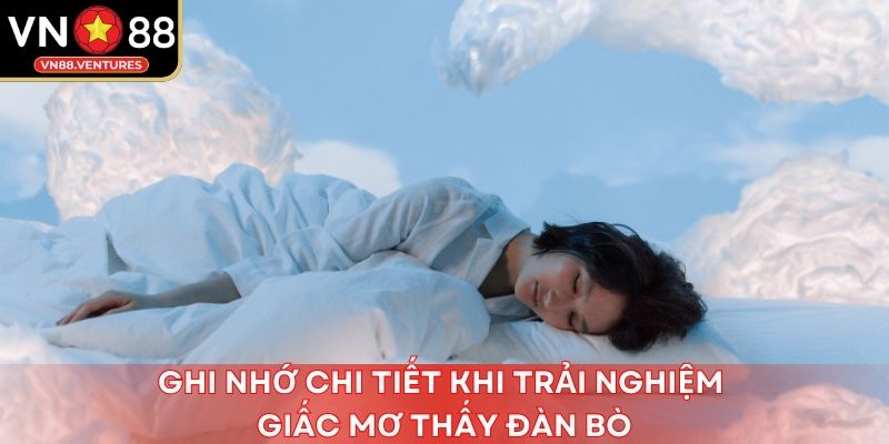 Ghi nhớ chi tiết khi trải nghiệm giấc mơ thấy đàn bò