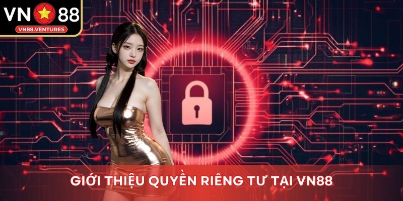 Giới thiệu quyền riêng tư tại Vn88