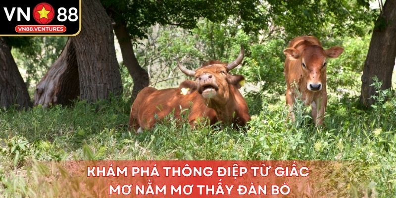 Khám phá thông điệp từ giấc mơ nằm mơ thấy đàn bò