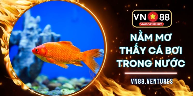 Nằm Mơ Thấy Cá Bơi Trong Nước Đánh Con Gì Dễ Trúng 2025?