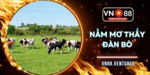 Nằm Mơ Thấy Đàn Bò Khơi Nguồn Con Số May Mắn Đầu Ngày