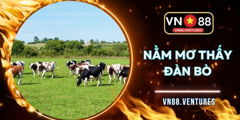 Nằm Mơ Thấy Đàn Bò Khơi Nguồn Con Số May Mắn Đầu Ngày